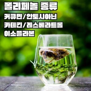 폴리페놀 녹차