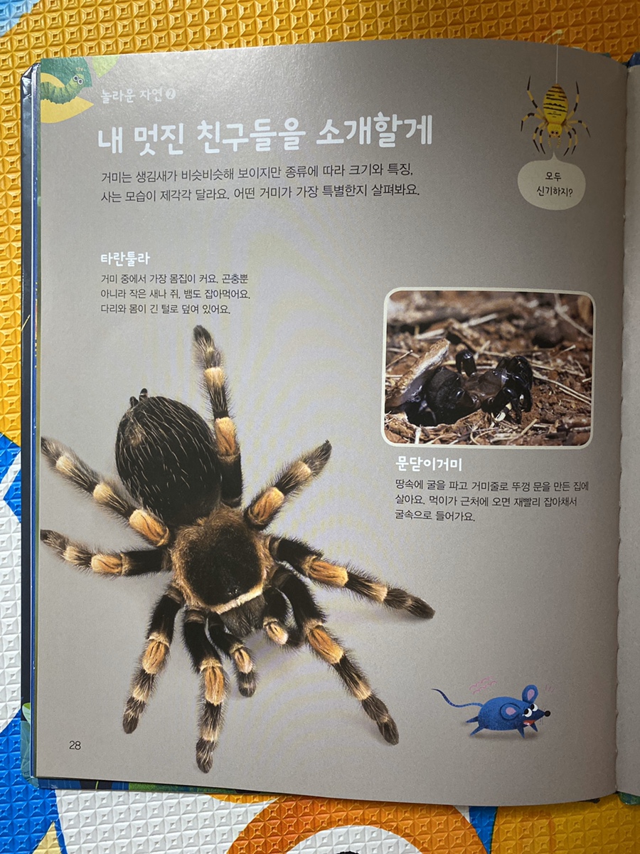 자연전집 이미지