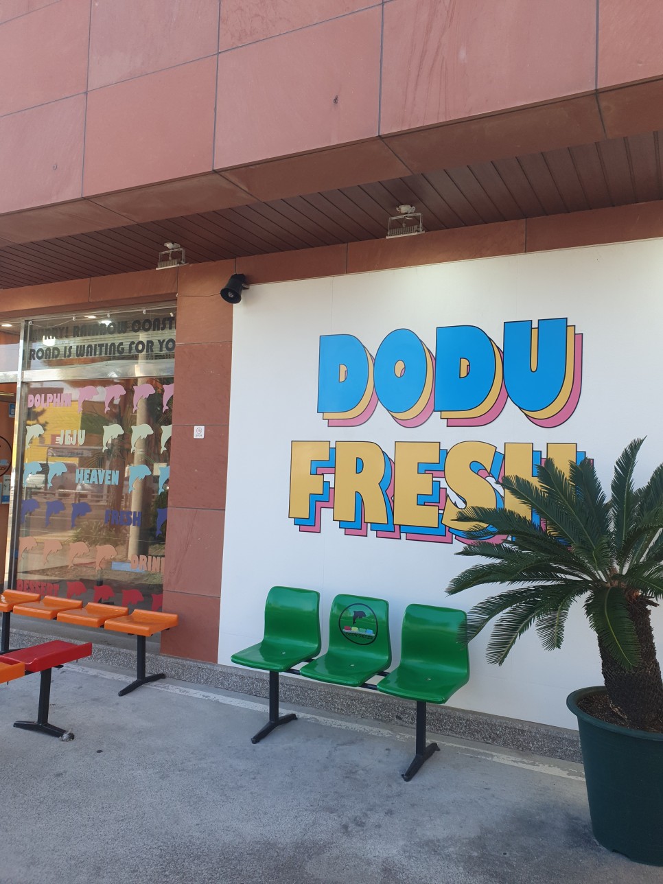 제주 전연령 렌트카 제주도 첫날 시작! 19