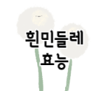 이 이미지를 클릭하시면 흰민들레 효능에 관한 포스팅으로 이동됩니다.