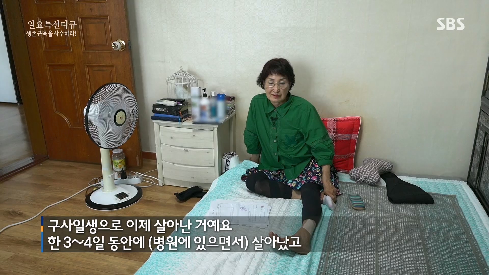 일요 특선 다큐멘터리.E319.230910p.H264-F1RST.mp4_20230918_202635.421.jpg