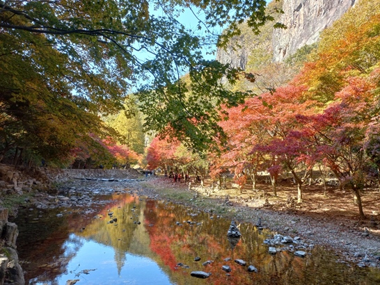 순창 강천산 단풍