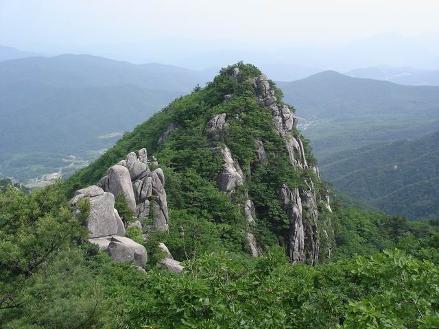 성주식육점 이미지
