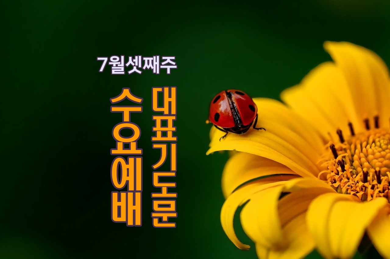  수요예배 대표기도문 7월 셋째주