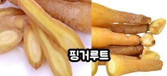 분말, 환, 말린건재 파는곳 판두라틴 핑거루트 효능과 먹는법 8