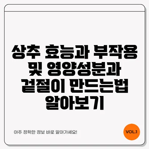 상추 효능과 부작용 및 영양성분과 겉절이 만드는법 알아보기