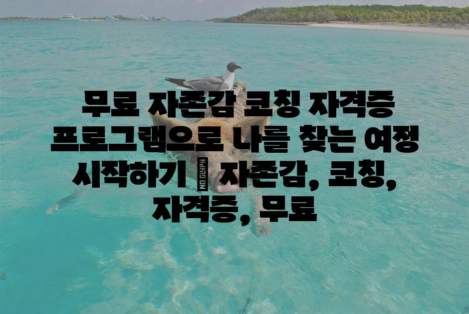 샘플 (1)