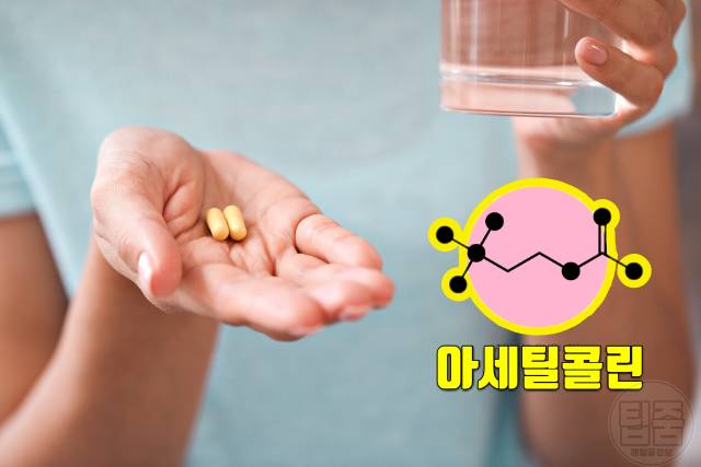 치매 걸리는 이유 습관 치매 생기는 이유 치매원인 항히스타민제 장기복용