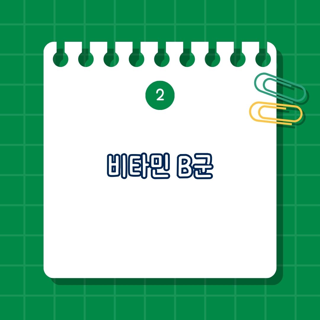 비타민 B군 효능, 결핍 증상, 주요 식품, 권장량, 주의 사항