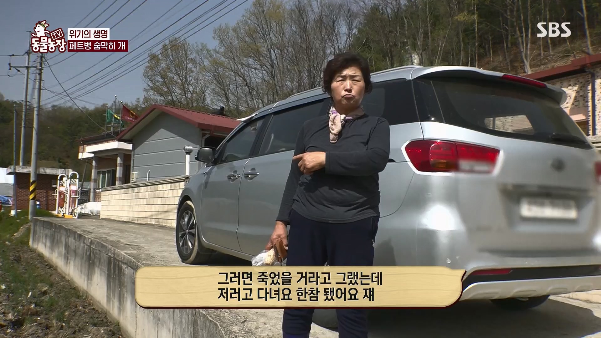 TV 동물농장.E1119.230507p.H264-F1RST.mp4_20230507_135910.216.jpg