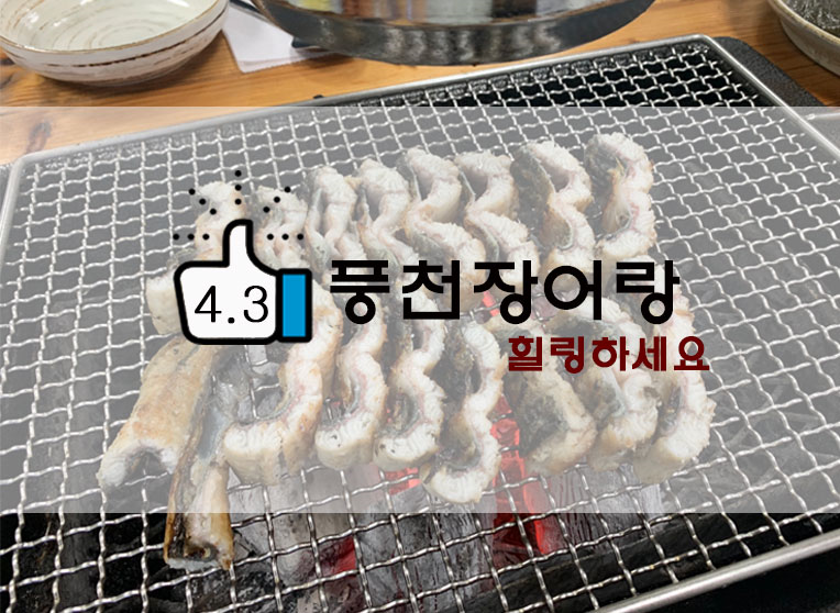  부드럽고 잡내없는 풍천장어랑 힐링하세요