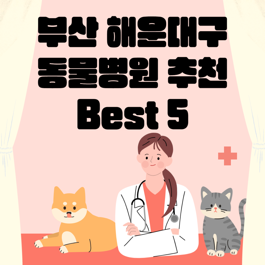 부산 해운대구 동물병원 추천 Best 5 ㅣ24시간 동물병원ㅣ비용ㅣ반려동물 의료비 지원 50만원 블로그 썸내일 사진