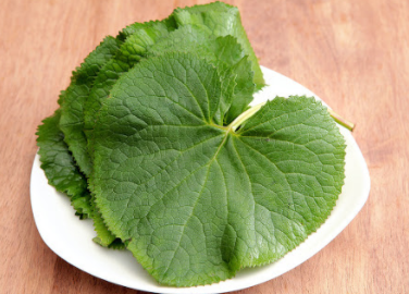  곰취 먹는법 :: 효능 종류 먹는방법 데치기 5분 컷