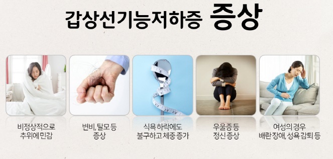 갑상선 기능 저하증 증상들