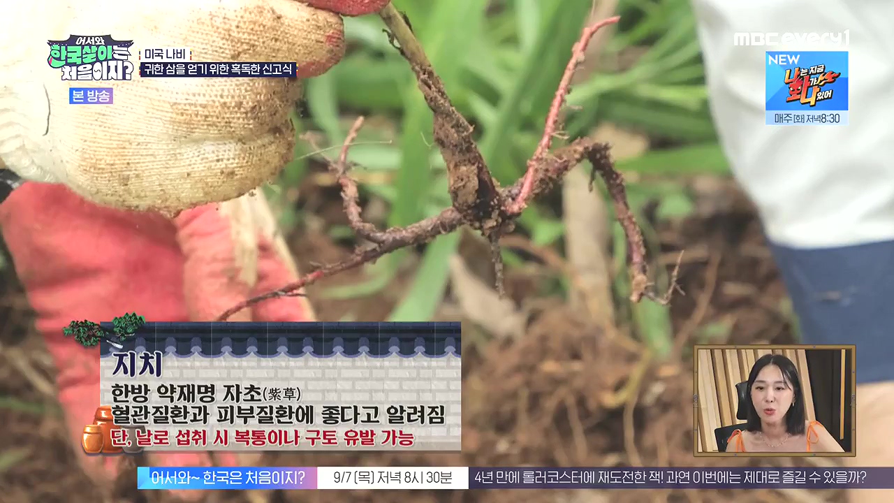 어서와 한국살이는 처음이지.E16.230905p-NEXT.mp4_20230906_203036.539.jpg