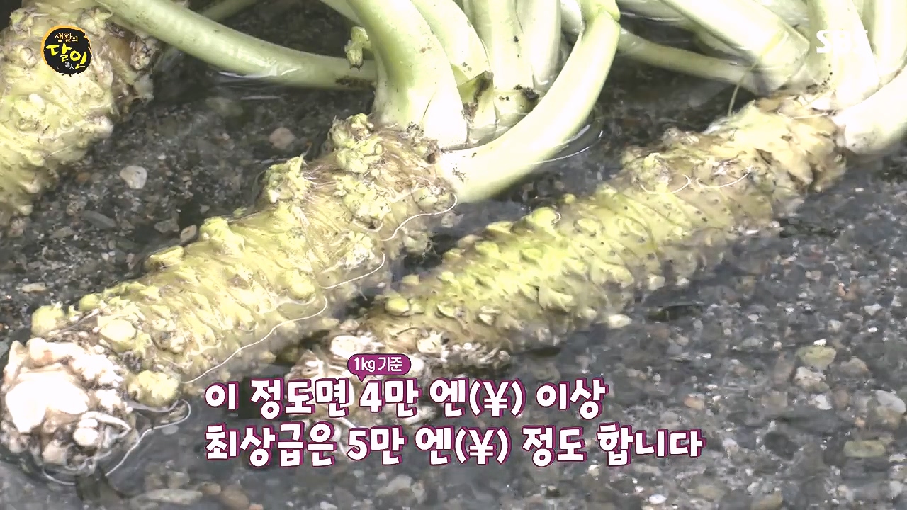 생활의 달인.E908.231017p-NEXT.mp4_20231017_195903.041.jpg