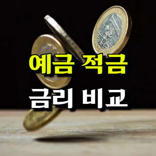 금리비교
