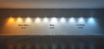 주광색 주백색 차이 비교 차이점_11