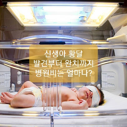  신생아 황달 치료 후기(한림대 성심병원)