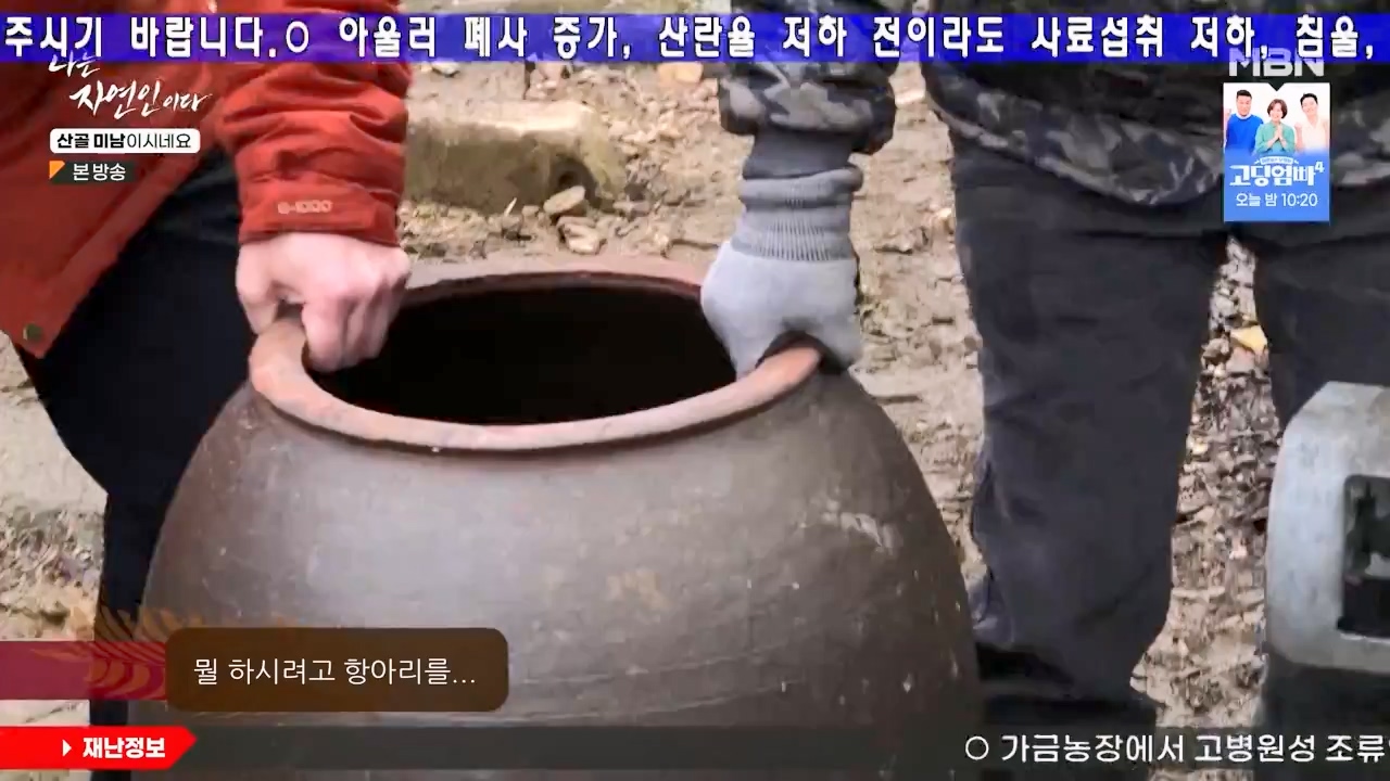 나는 자연인이다.E592.240208p-NEXT.mp4_20240208_193243.152.jpg