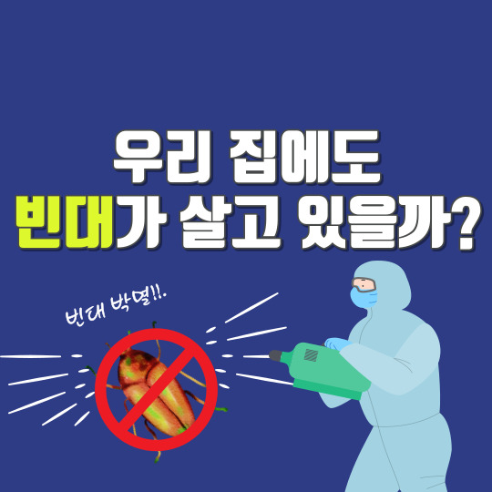 빈대 찾는 방법 및 없애는 방법