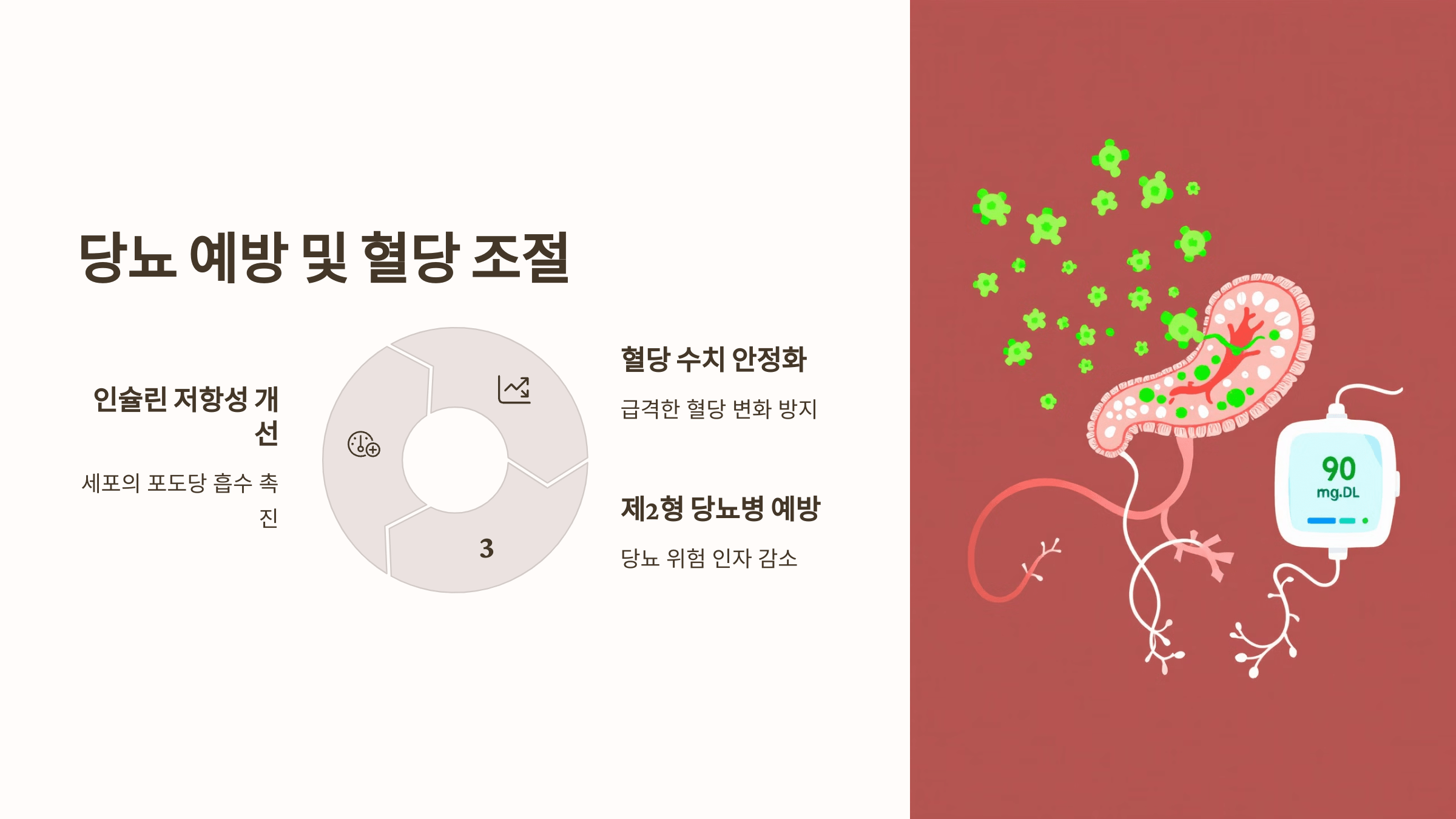 오메가3와 관련된 사진입니다.
