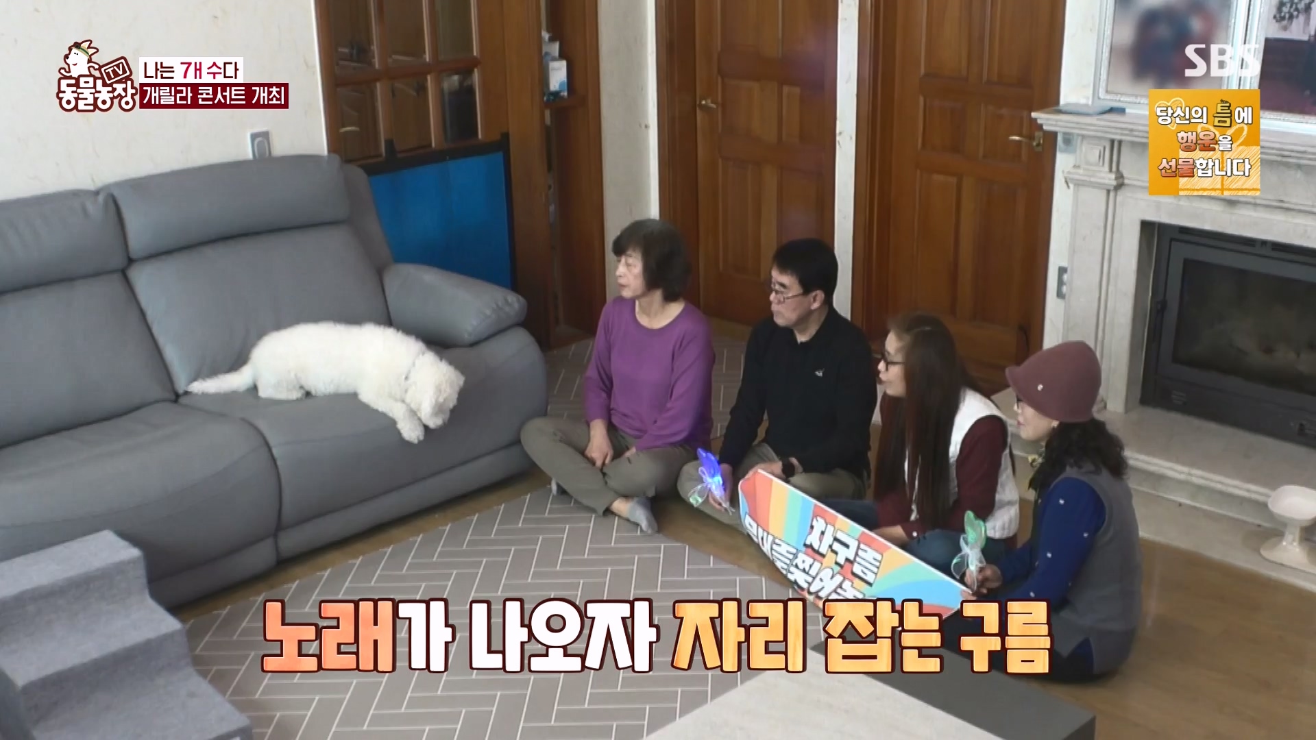 TV 동물농장.E1166.240407p-NEXT.mp4_20240407_164504.241.jpg