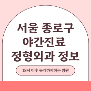 서울 종로구 야간진료 정형외과 병원 (18시 이후 늦게까지하는 병원)