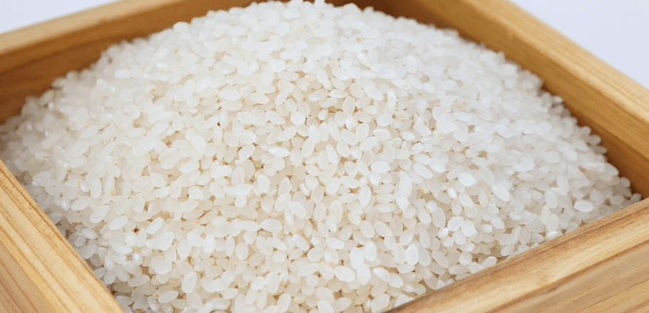 쌀벌레 없애는 법 - 12