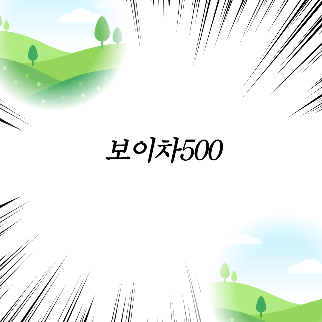  보이차500