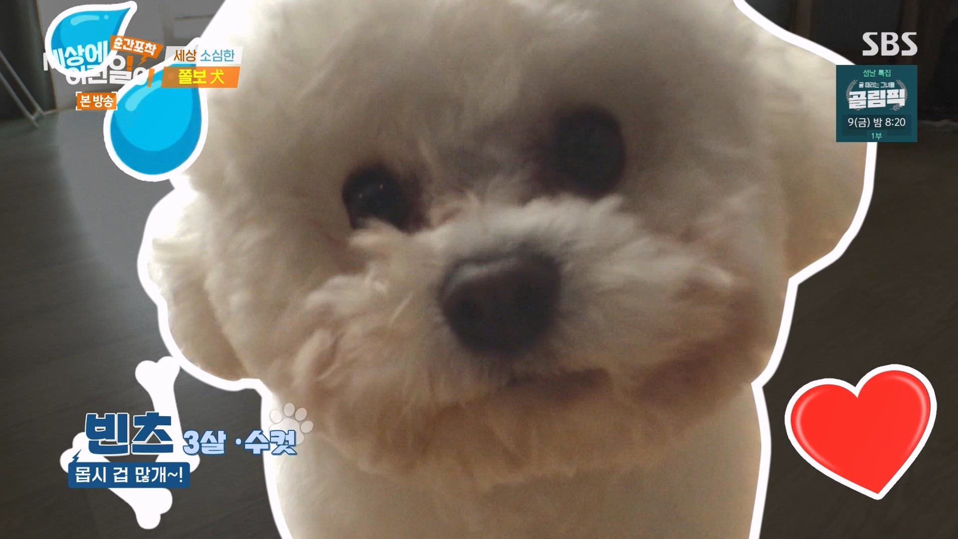 순간포착 세상에 이런일이.E1263.240203p-NEXT.mp4_20240204_161616.853.jpg