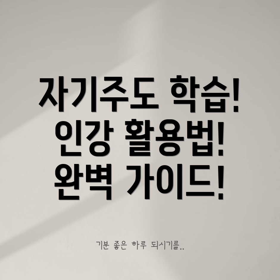 초등 인터넷 강의 활용