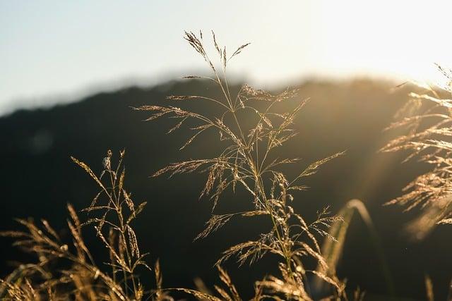 속건제 속죄제의 차이