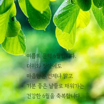 6월 인사말 모음 상황별 이미지 일러스트_5