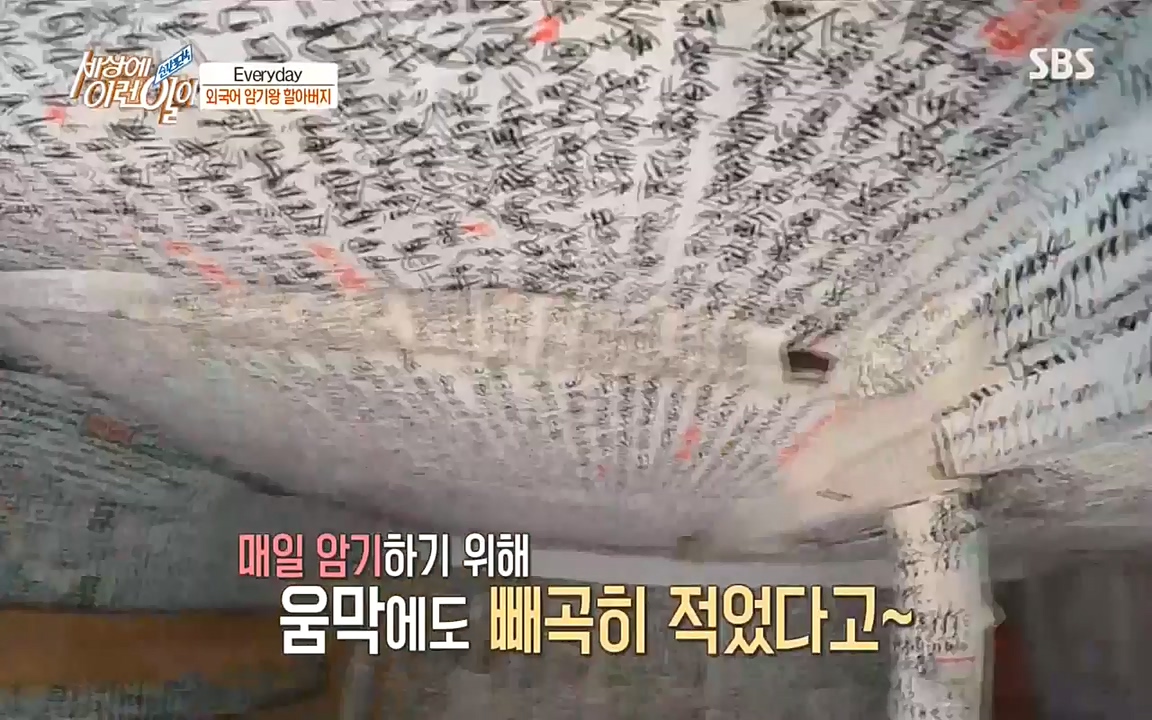 순간포착 세상에 이런일이.E1193.220816.H265p-BULDU.mp4_20220817_204234.749.jpg