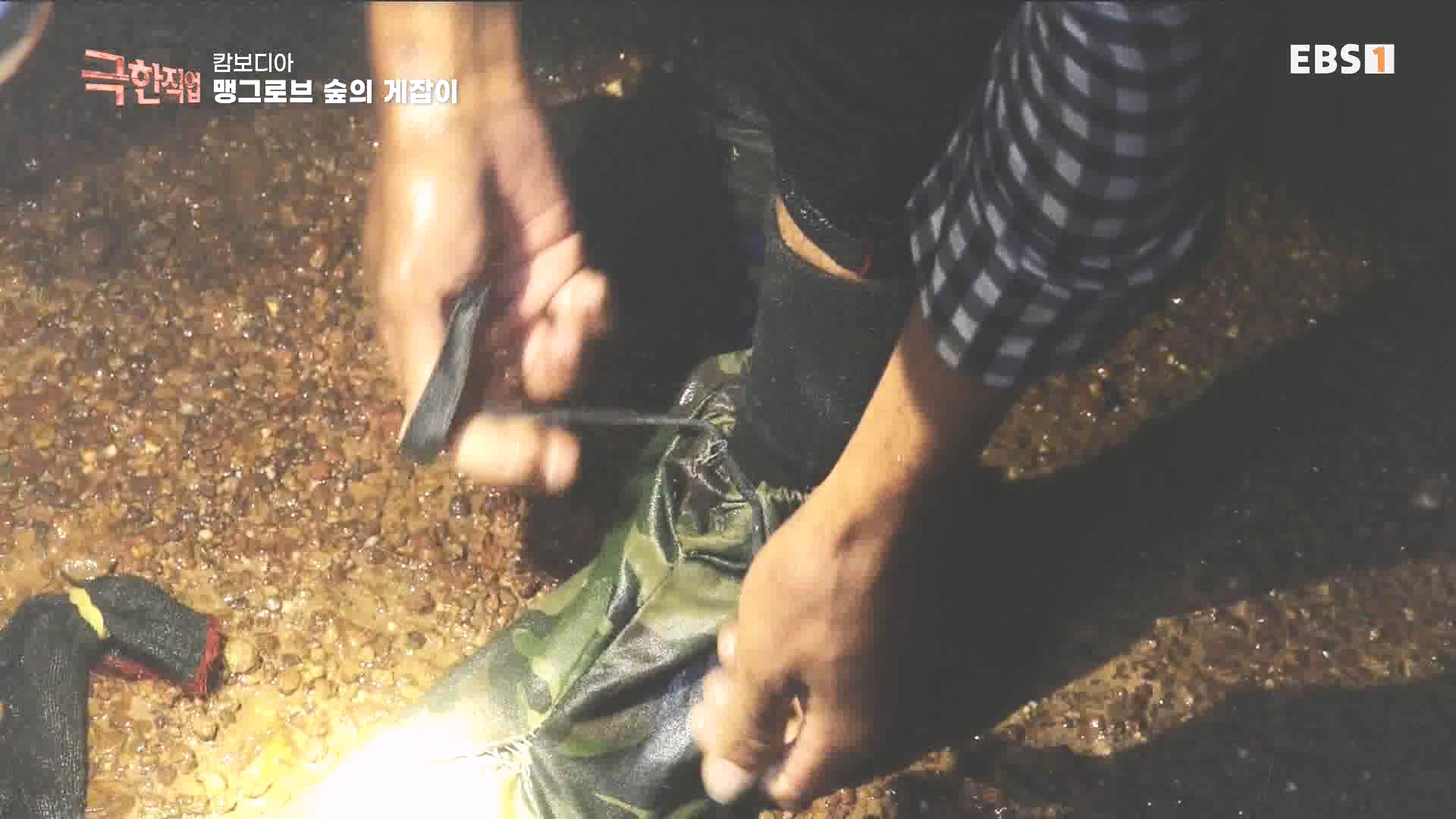 물뱀 사냥과 맹르로브숲의 게잡이 231021.mp4_20231025_211955.432.jpg