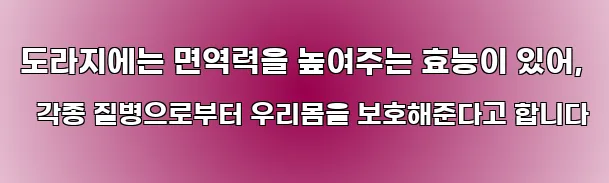 도라지에는 면역력을 높여주는 효능이 있어, 각종 질병으로부터 우리몸을 보호해준다고 합니다