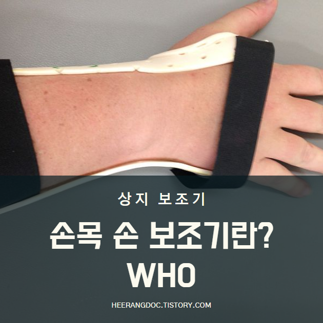 WHO보조기란?