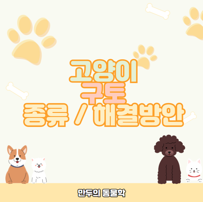 고양이구토종류해결방안