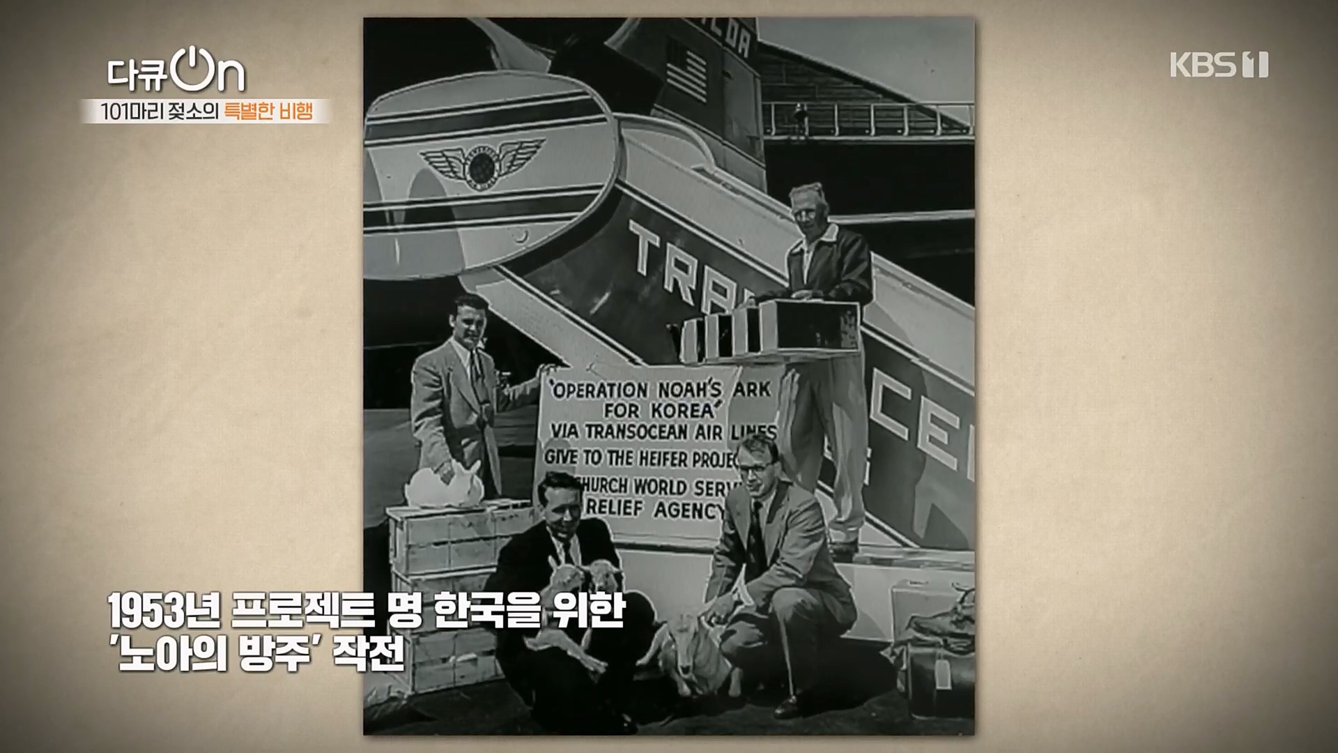 다큐 On.E184.230203p.H264-F1RST.mp4_20230211_173604.769.jpg