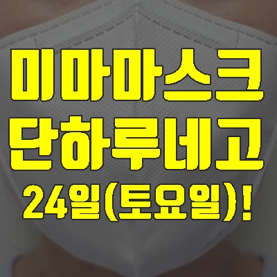  미마마스크 대형L 단 하루 할인(+24일 토요일)