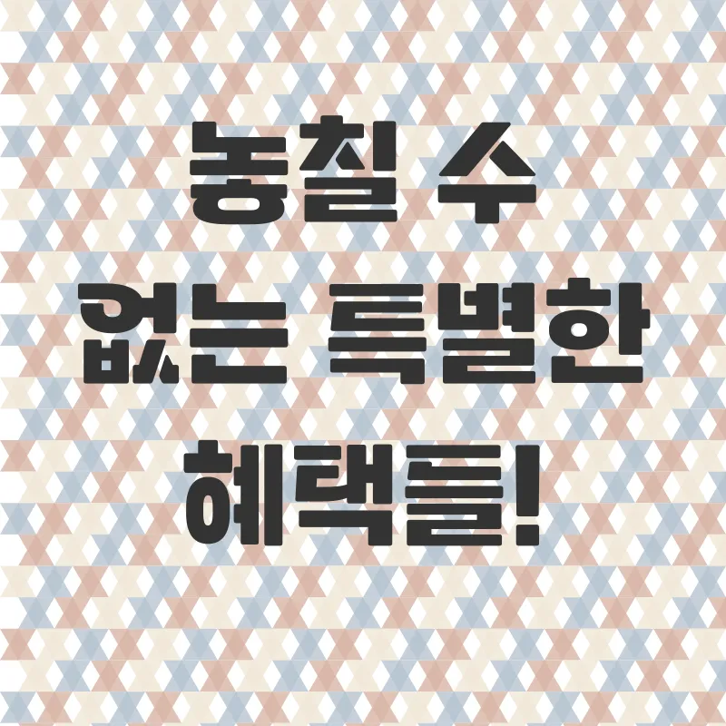 극강가성비포항펜션_1