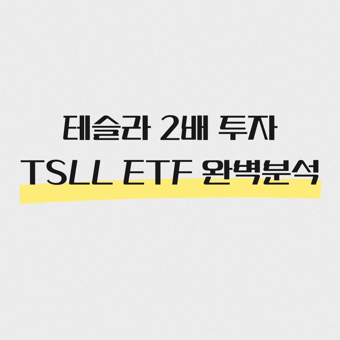 Direxion Daily TSLA Bull 2X Shares : 테슬라에 레버리지 투자하는 최고의 선택