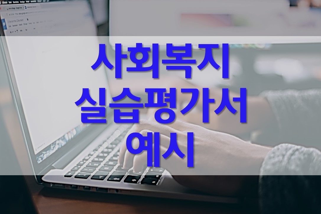  사회복지 실습평가서 예시/ 장애인복지관