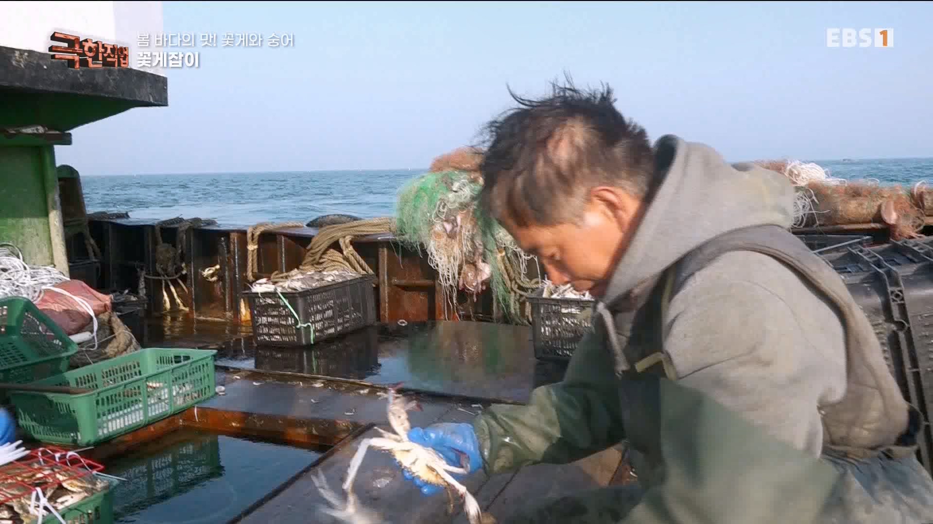 극한 직업 꽃게와 숭어 1080p.mp4_20230530_194647.162.jpg