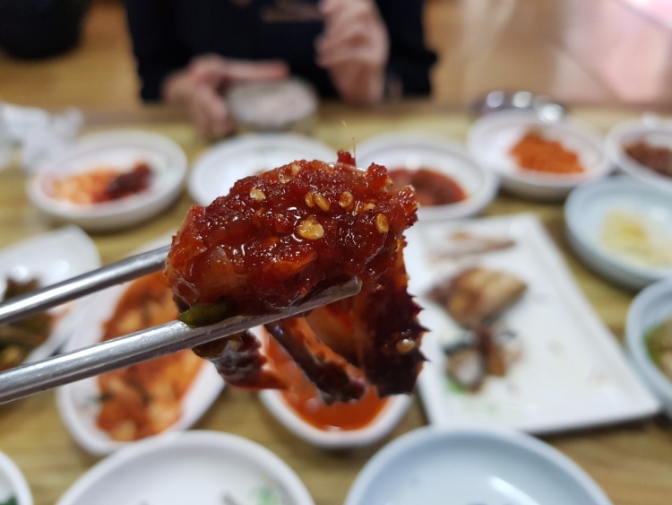 섬마을식당 이미지