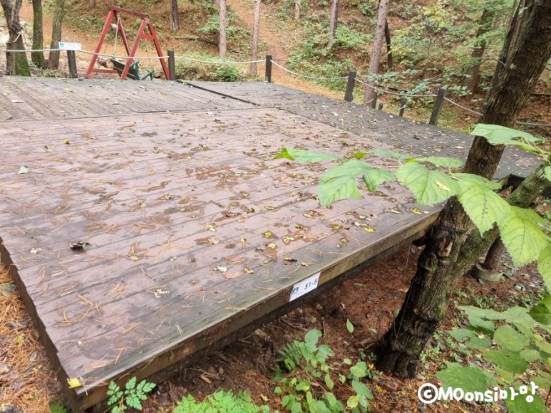 하늘그린캠프, 숲속의 13