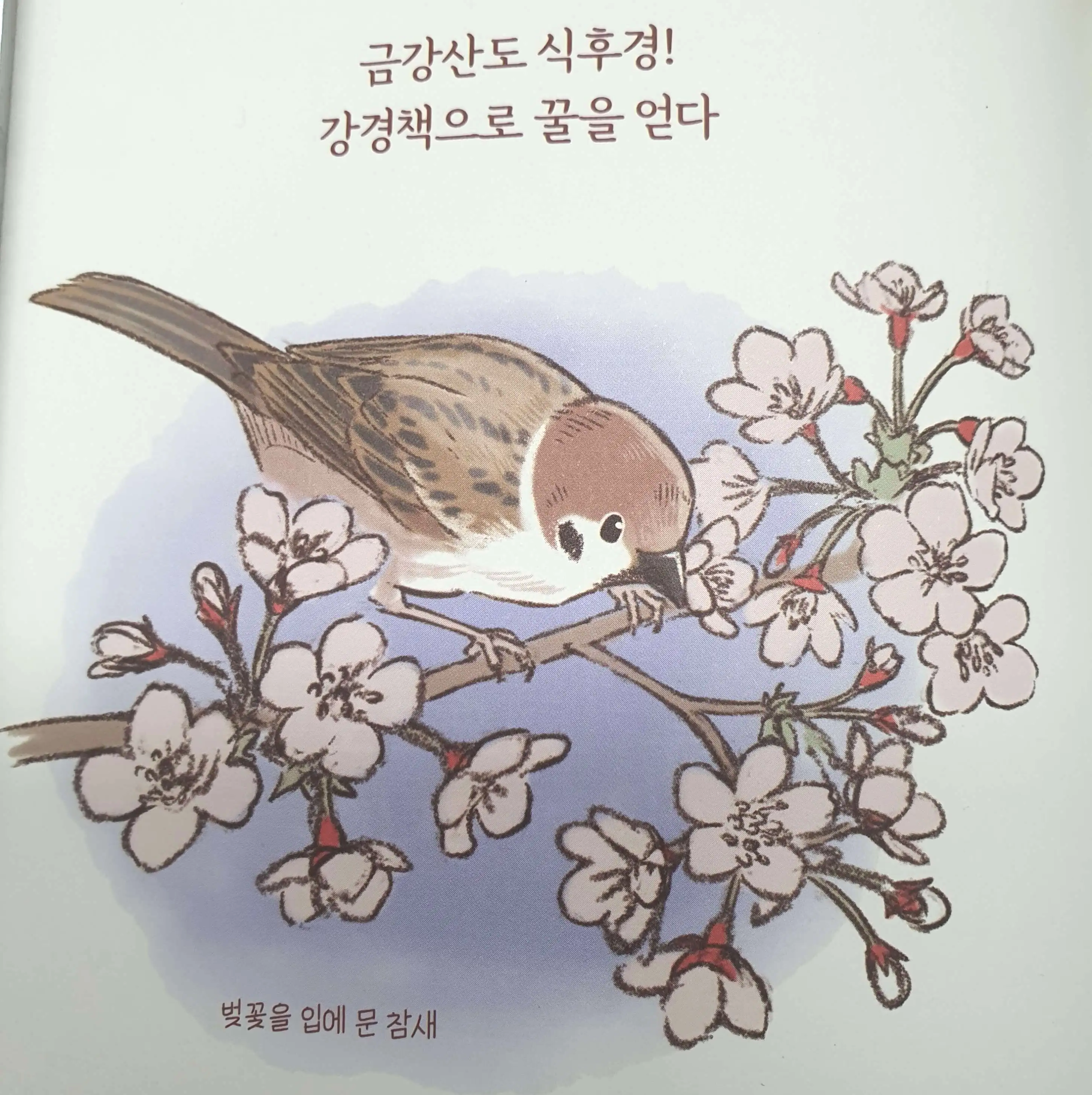 벚꽃이-핀-가지-위에-앉아있는-참새-그림