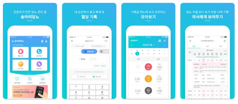 송아리당뇨앱 기능