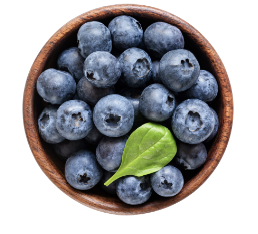 고관절 통증 증상